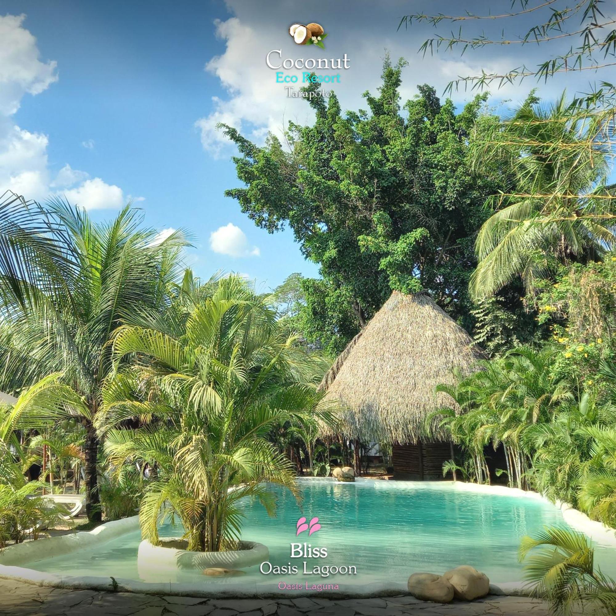 Coconut Tarapoto - Eco Resort Buitenkant foto
